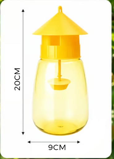 Outdoor Fruit Fly Trap