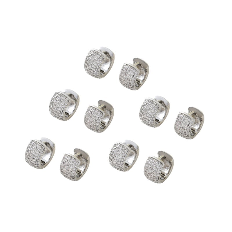 Zircon-Studded Men's Earrings